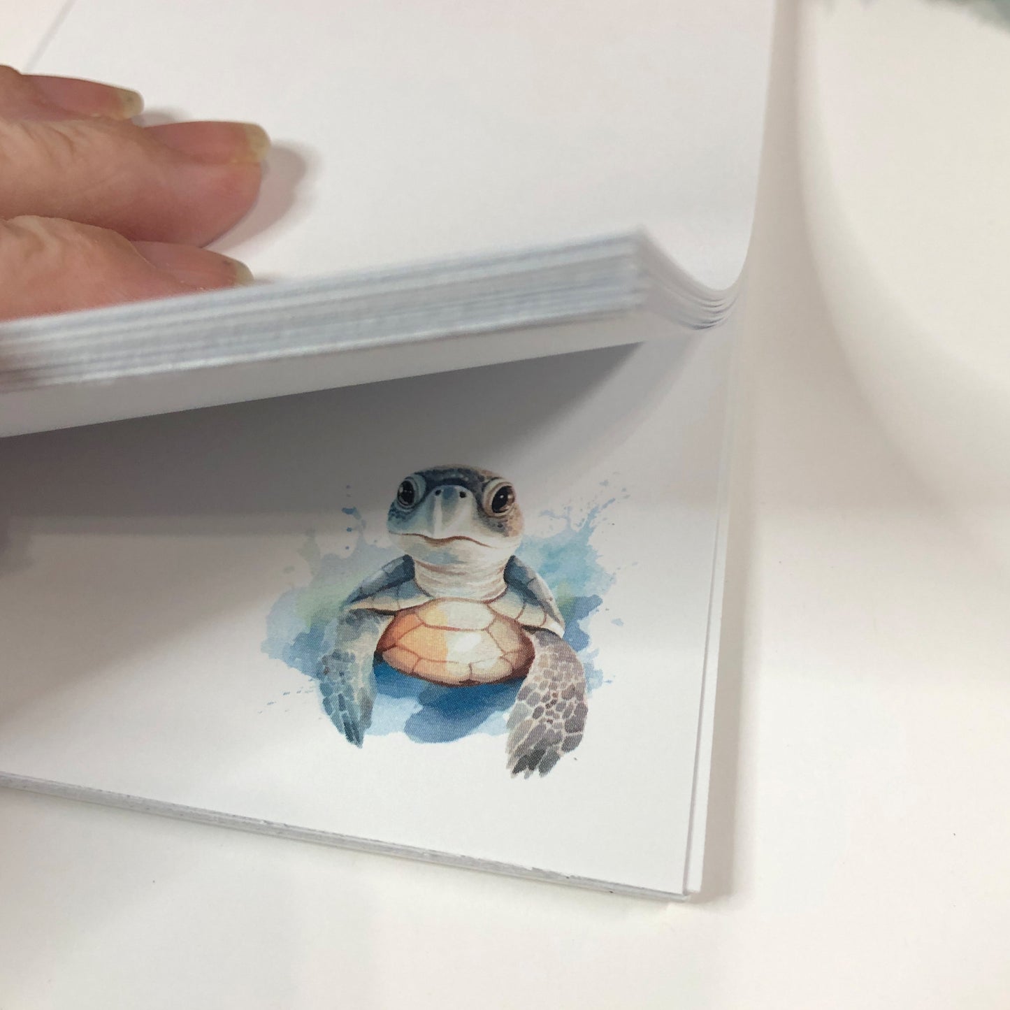 Baby Sea Turtle Notepad